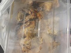 -老王豆皮
