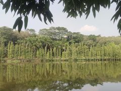 -三水森林公园