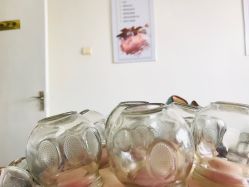 -寇氏减肥
