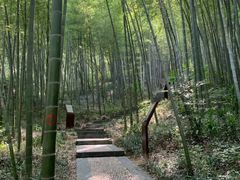 -南山风景名胜区
