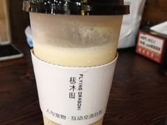 -极木²邸 人与宠物·互动社区