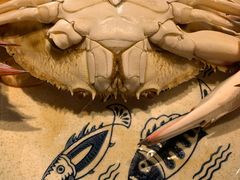 -77号渔船·蒸海鲜青岛菜(积米崖店)