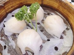 虾饺皇-澳门陈光记烧味饭店(南京德基广场店)