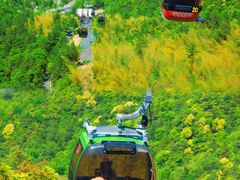 -大明山自然探索公园