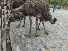 -泗洪洪泽湖湿地景区