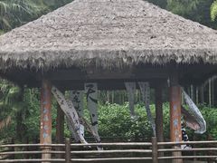 -兰亭风景区