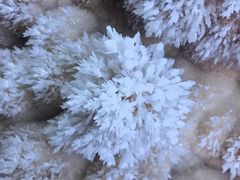 -湖南省地质博物馆