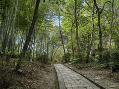 -上海佘山国家森林公园天马山园