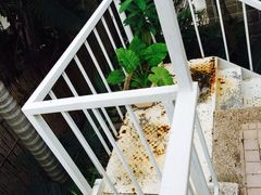 iphone_upload_pic-6号花园别墅酒店