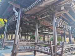 -三垟湿地