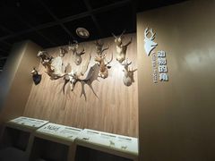 -陕西自然博物馆