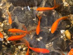 -邈墨茶馆(凤起路店)