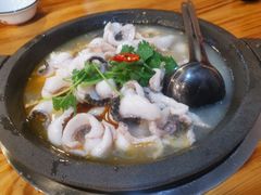 石锅乌鱼-大鼎石锅鱼(春江里店)