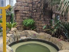 -悦隆庄温泉度假酒店