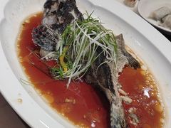 -新乾隆酒楼(帝景园店)