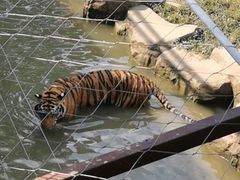 -无锡动物园·太湖欢乐园