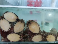 -雅逸居海鲜小厨