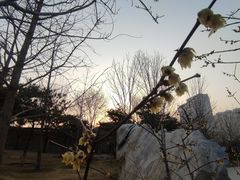 -北京明城墙遗址公园