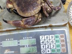 -87号烧烤海鲜·大排档(金沙滩店)