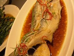 -渔歌子鱼头王(郑州总店)