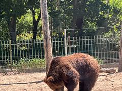 -秦皇岛野生动物园