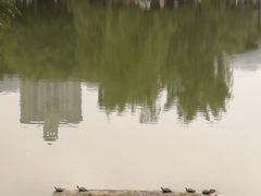 -沐仙湖湿地公园