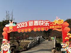 -苏州上方山国家森林公园