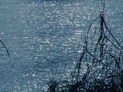 -重庆市江北嘴中央商务区中央公园