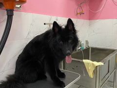 -狗不理喵子(百富路店)
