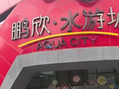 -鹏欣水游城