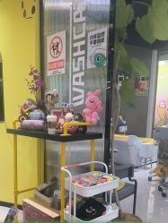-洗脸猫·洗脸吧(北京大兴大悦春风里店)