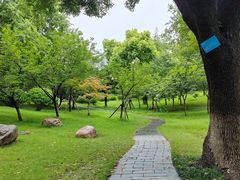 -堤角公园