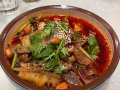 -庐州太太(信地店)