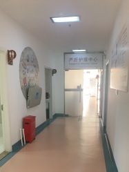 -北京安琪