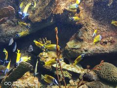 -太平洋海底世界