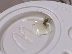 -麦当劳(展览路店)