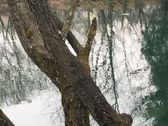 -贵阳市花溪国家城市湿地公园