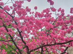 -昆明动物园