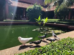 -柬埔寨国家博物馆