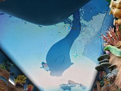 -珠海长隆海洋王国