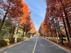 -南京市无想山景区