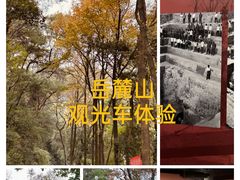 -岳麓山风景名胜区