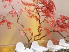 -董家大院·京味家常菜(朝丰家园店)