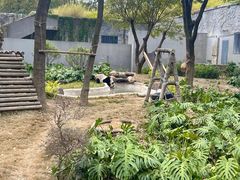 -柳州市动物园