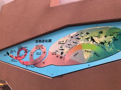 -陕西自然博物馆