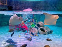 -沈阳海洋探索中心