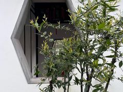 -秋霞圃