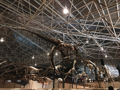 -世界恐龙谷景区