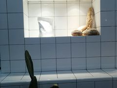 -洛佩塔蛋糕