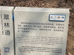 -沂蒙山旅游区云蒙景区(蒙山国家森林公园)